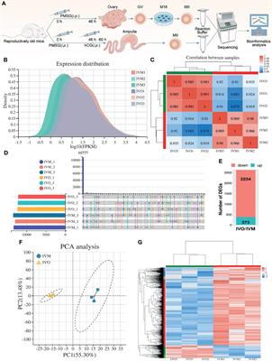 In Vivo and In Vitro Matured Oocytes From Mice of Advanced Reproductive Age Exhibit Alternative Splicing Processes for Mitochondrial Oxidative Phosphorylation